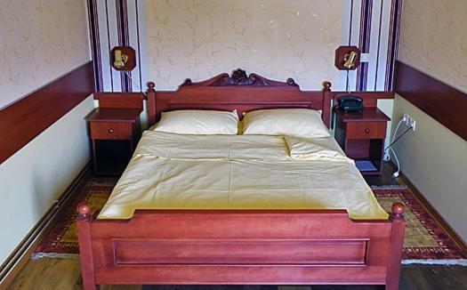 Hotel Dunav スレムスキ・カルロヴツィ 部屋 写真